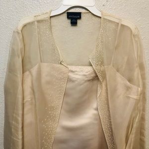 Beautiful Ann Taylor dress, size 14